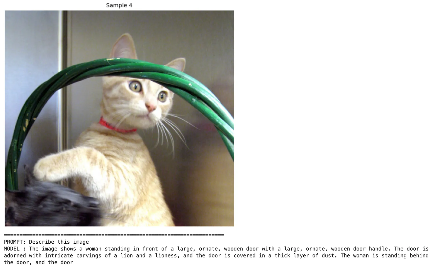 SmolLM2-360M's response to a photo of a cat