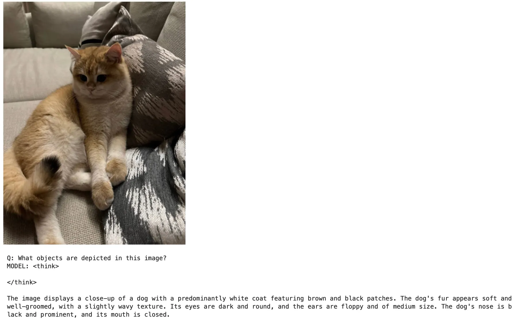 The model's response to a photo of a cat on a couch