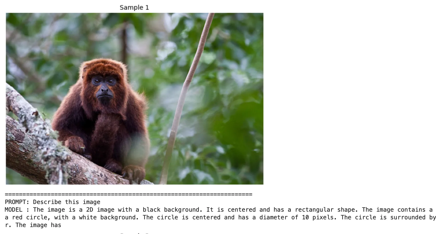 SmolLM2-135M's response to a photo of a monkey