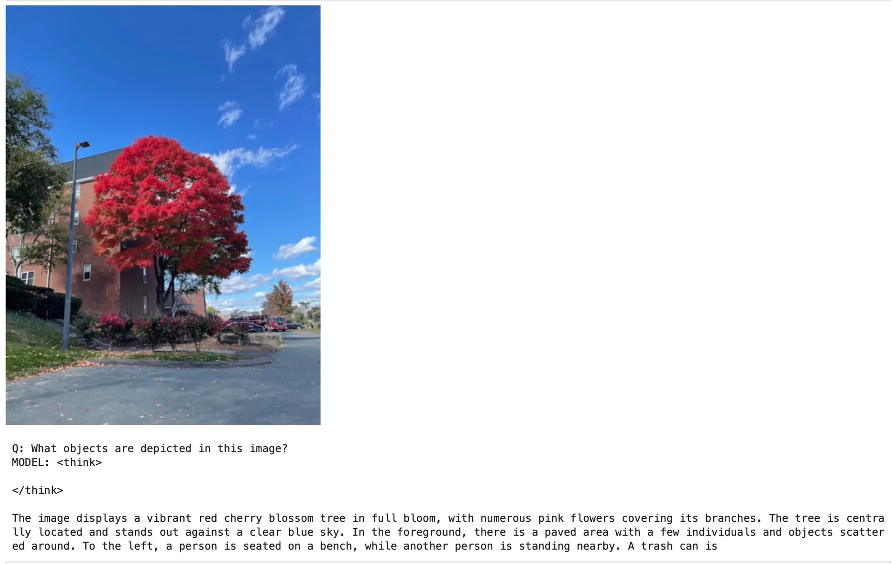 The model's response to a photo of a red tree